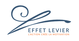 EFFET LEVIER