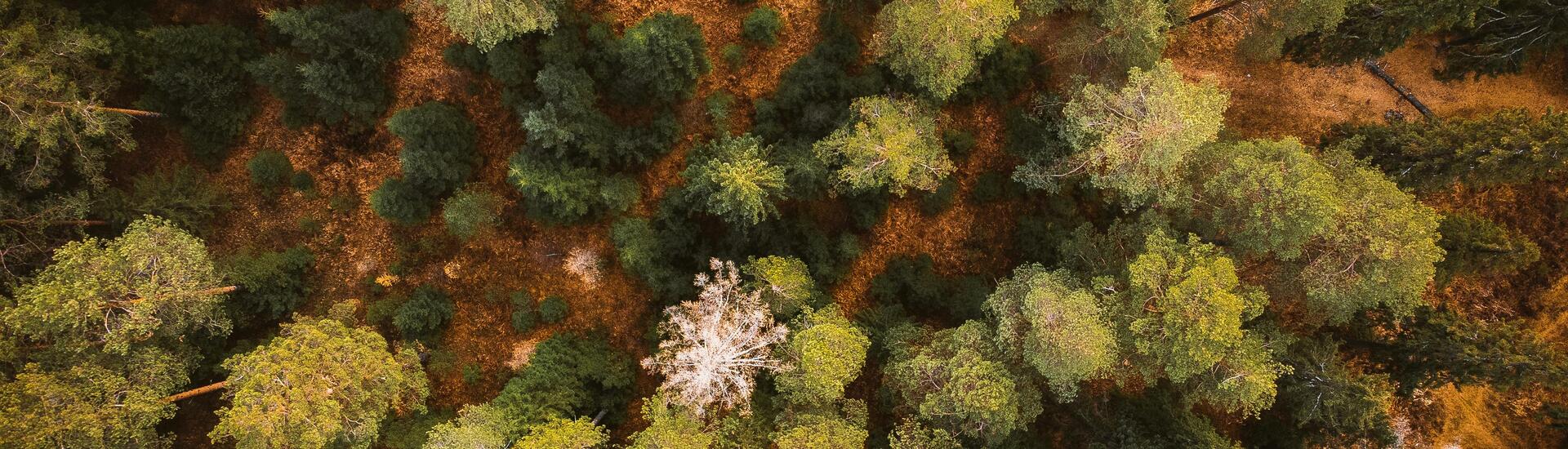 Concours d’art oratoire sur la nature