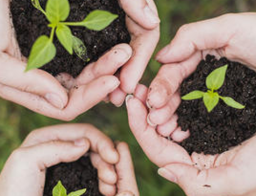 Le ministère de la transition écologique accompagne les porteurs de projets sur le programme LIFE